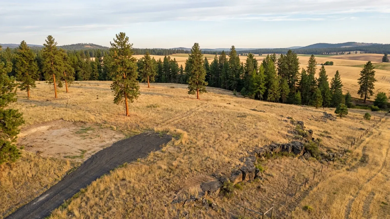 Aerial view of an undeveloped rural lot of dry grass and scattered ponderosa pines, with a dark gravel access track, a rock outcrop and wheat fields beyond.